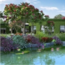 DLF Camellias - Waterbody 02